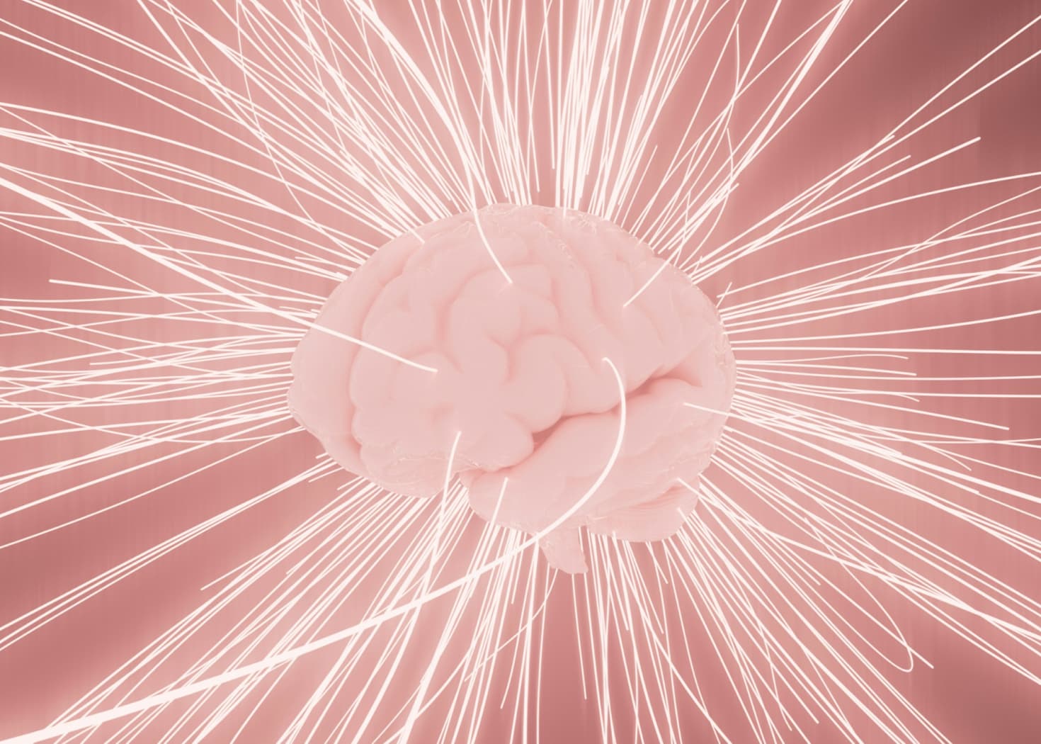 Brain Facts content image