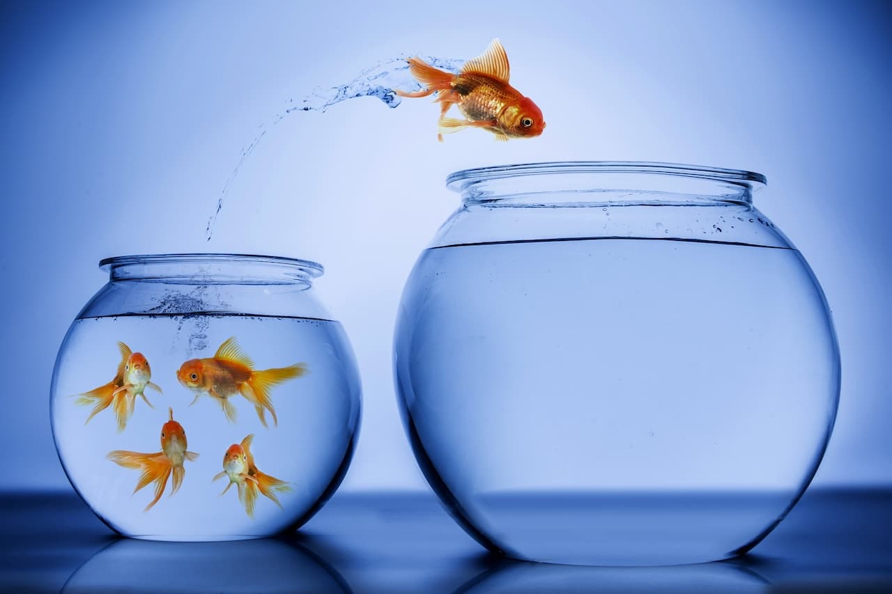 Understanding Neurodiversity in Early Childhood Practice image