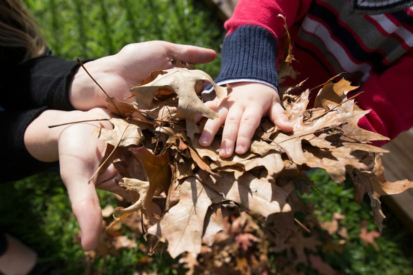 Having Meaningful Conversations with Children—10 tips event image