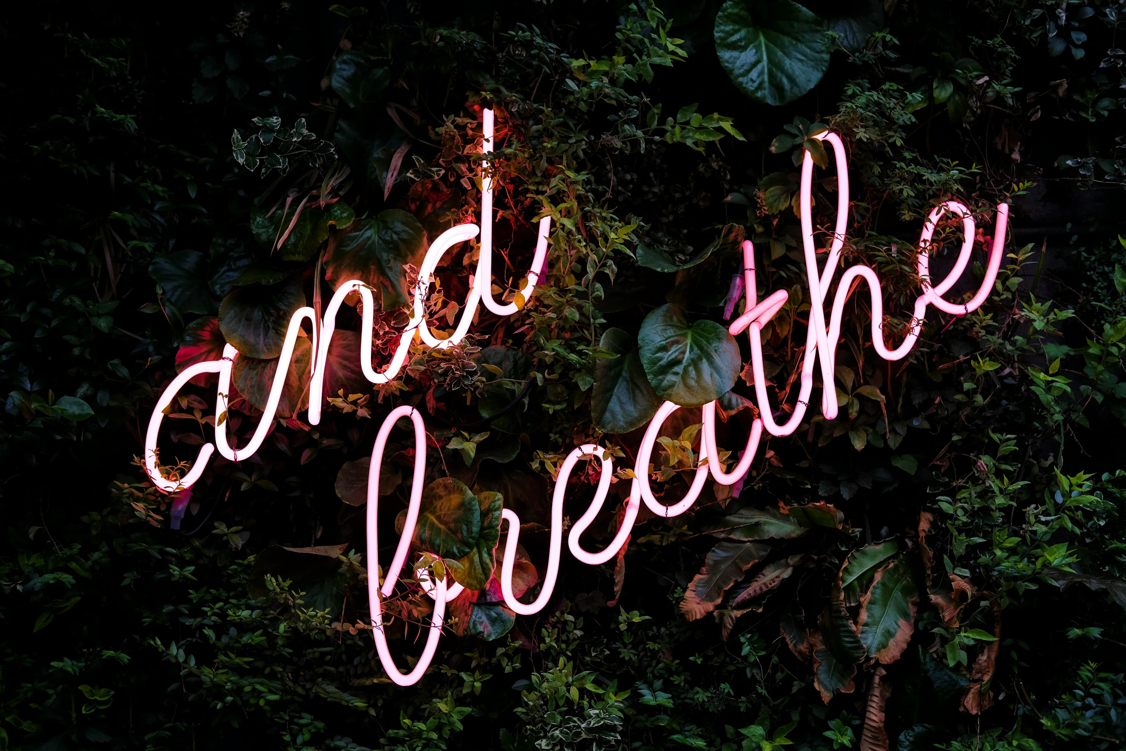 I’m a Room Leader… Now What? image