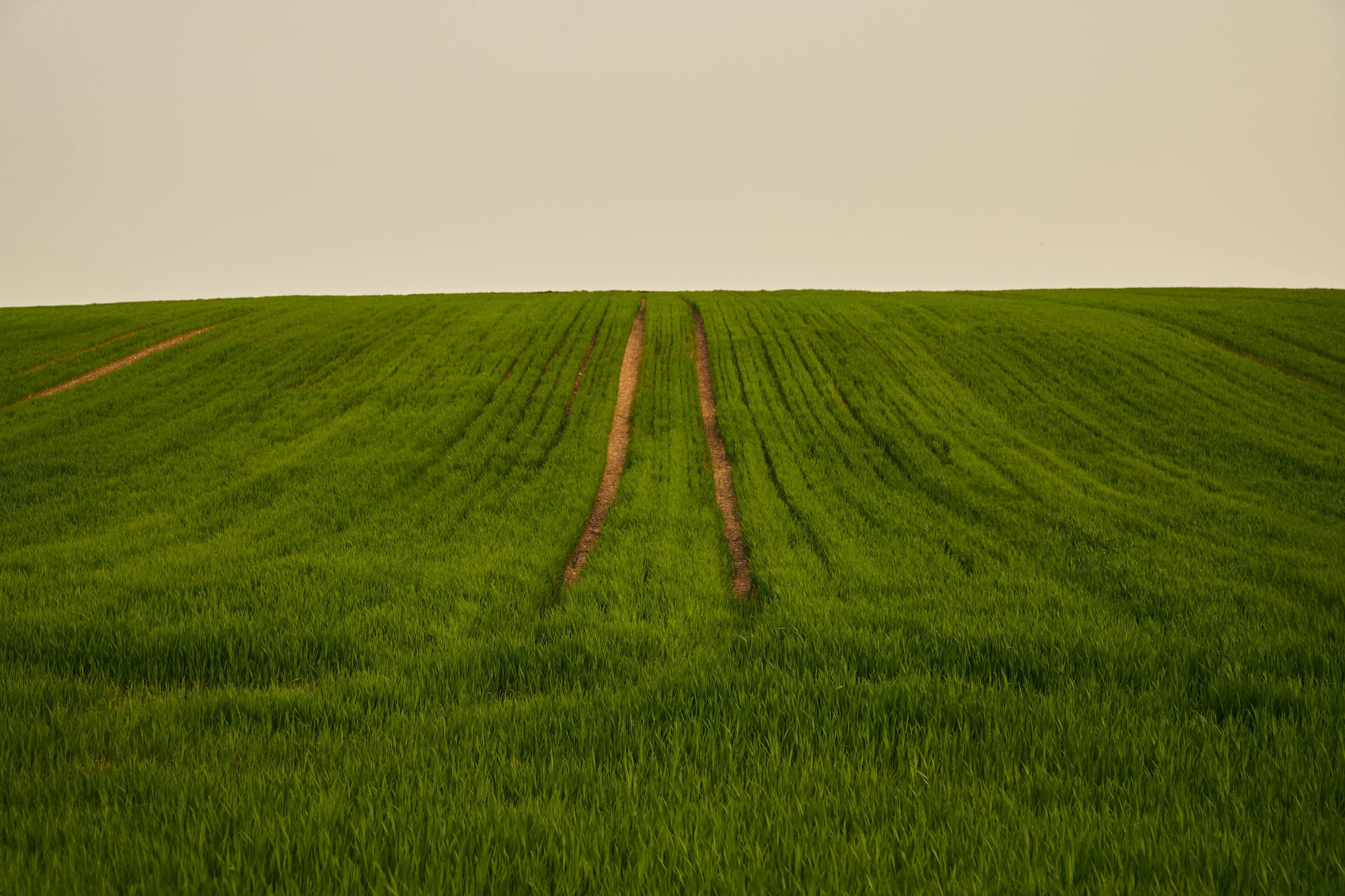 Building Cultures of Accountability as a Room and Service Leader: A Roadmap to Success image