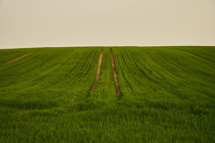 Building Cultures of Accountability as a Room and Service Leader: A Roadmap to Success event image