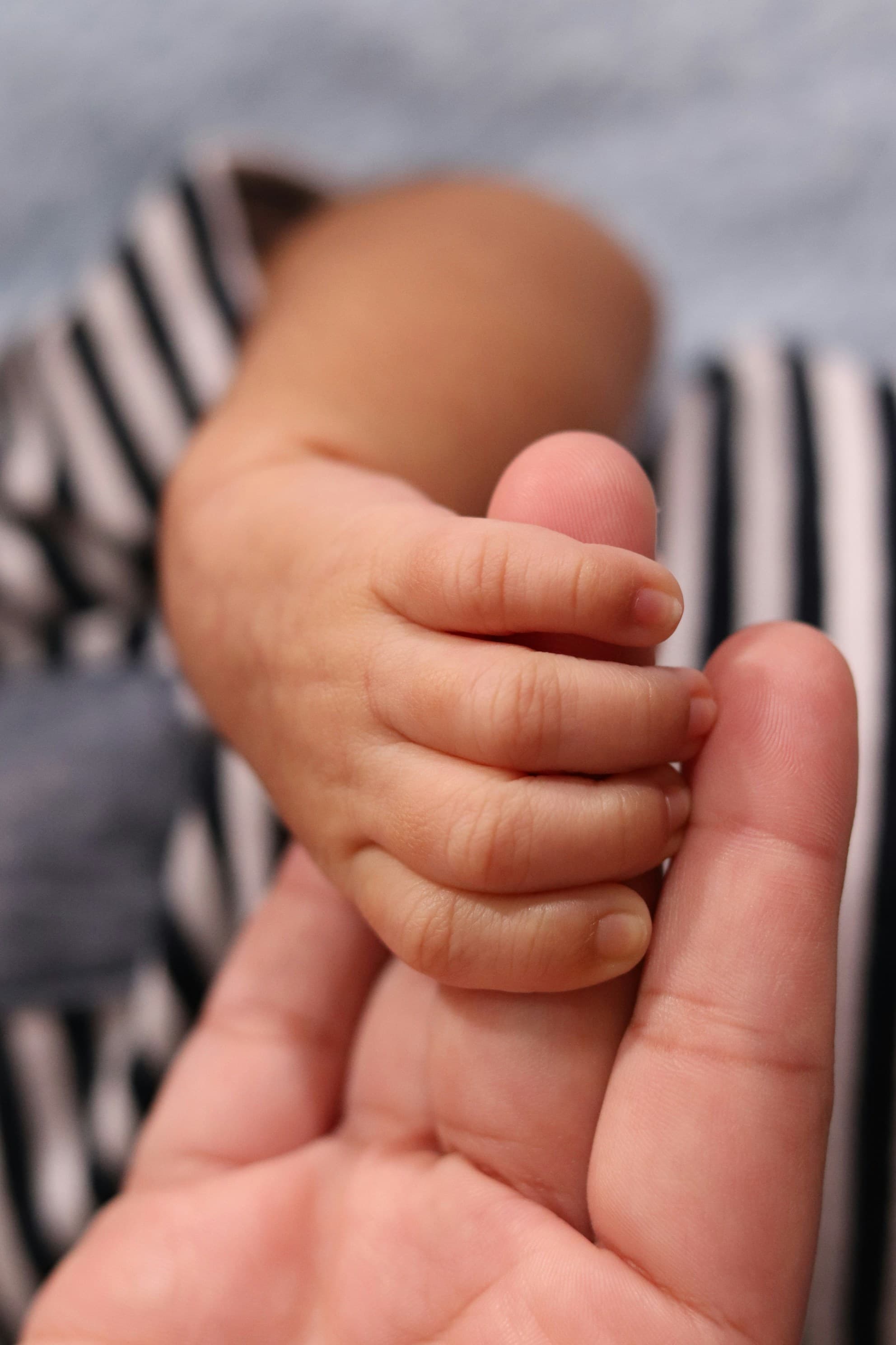 Circle of Security: Understanding Children Through Connection & Relationships image