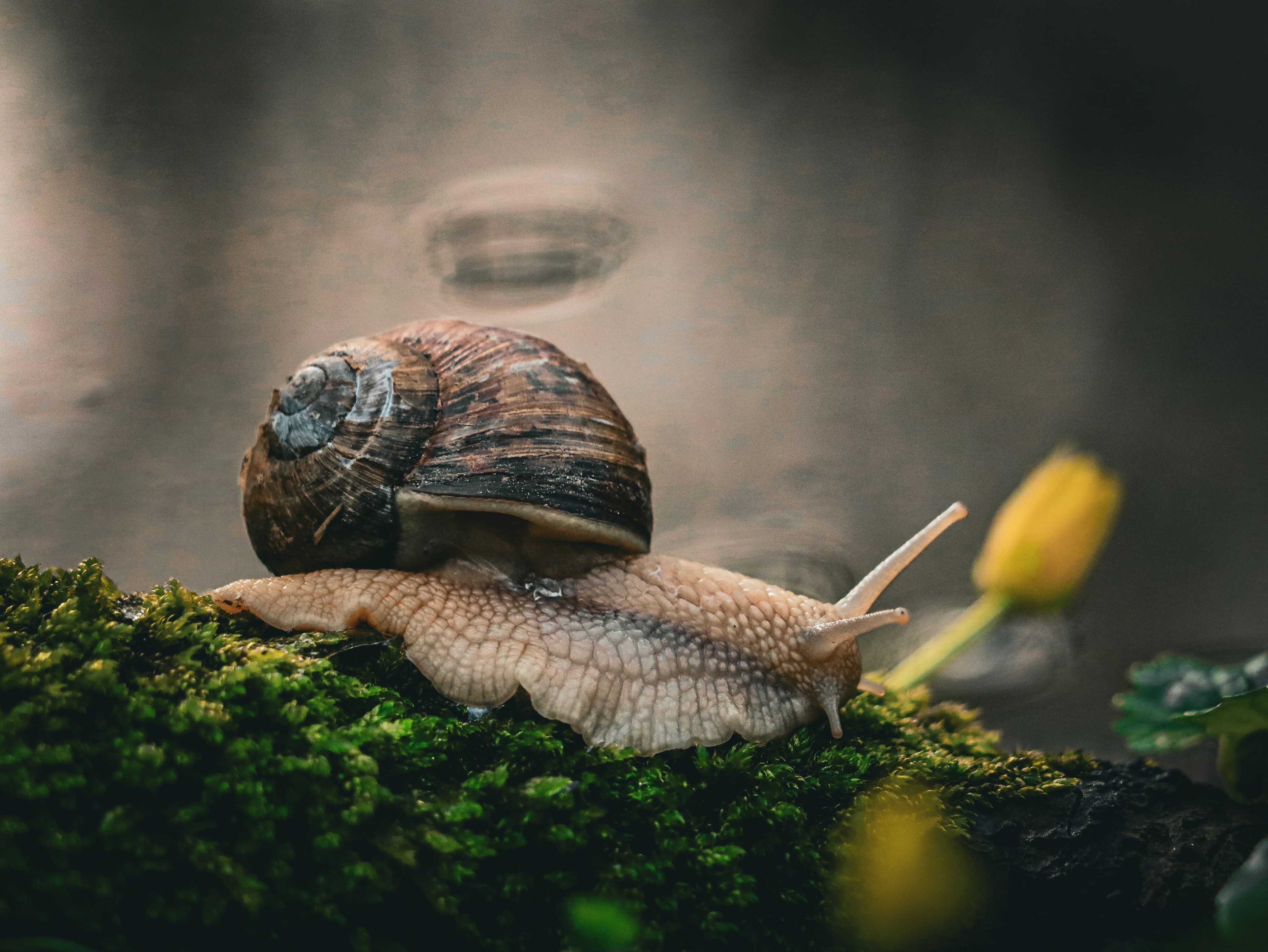 Slow Pedagogy: Finding the balance in pedagogy and practice image