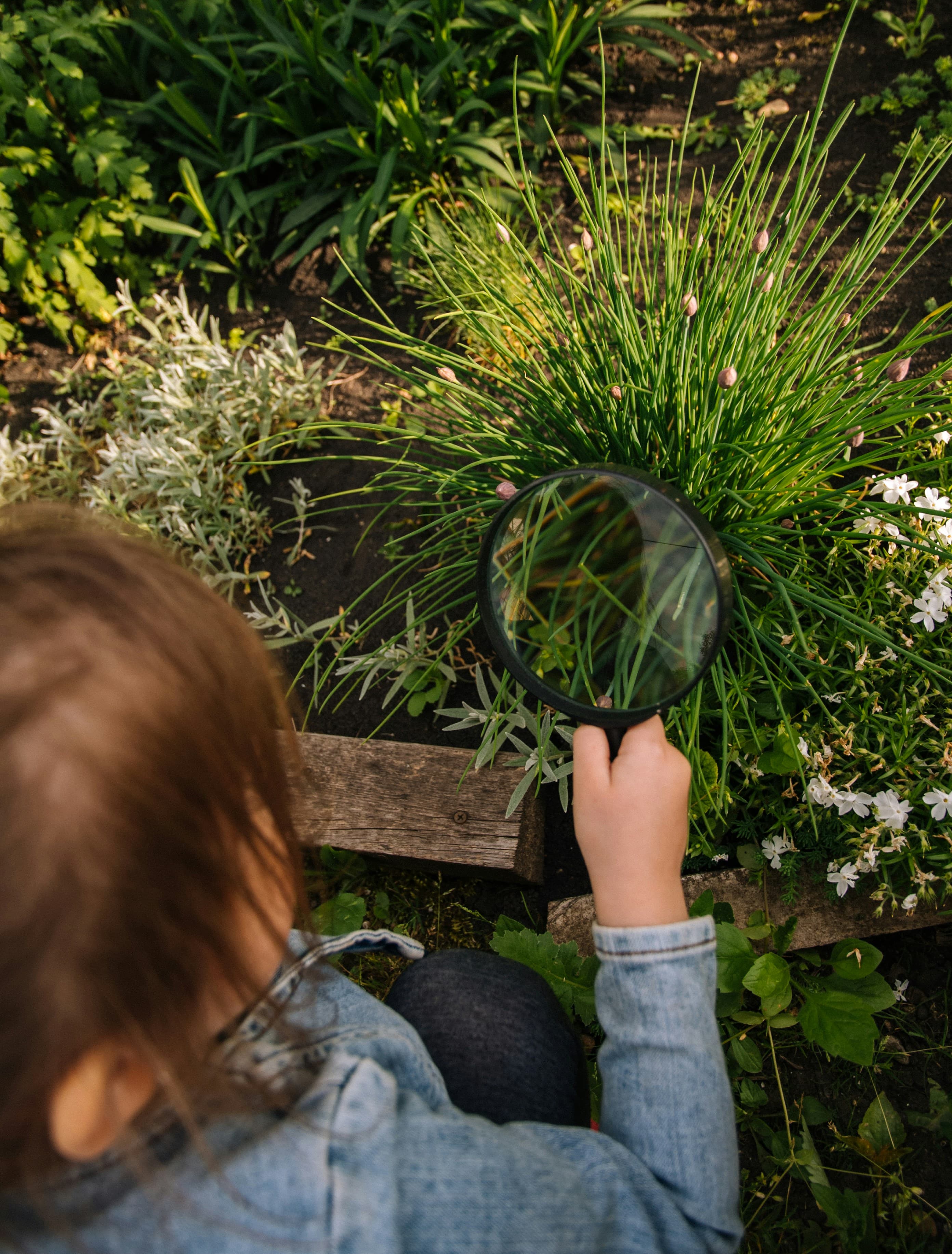 Being Attentive: Intentionality in Everyday Practice image