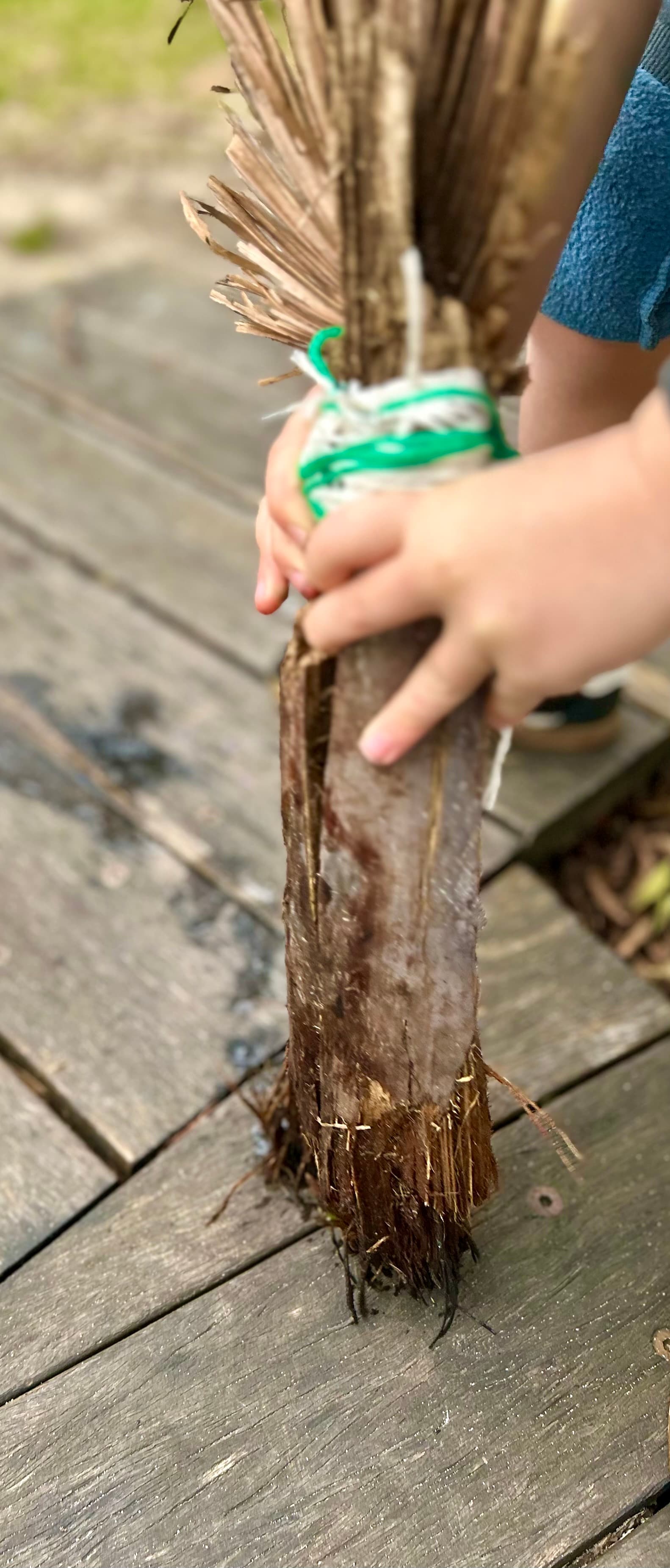 Making and Using Nature Brushes: Mark Making and Ephemeral Art image