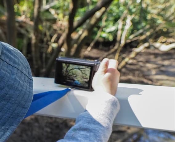 The Language of Photography image