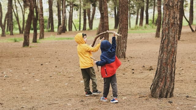 Leading through a culture of collaboration image
