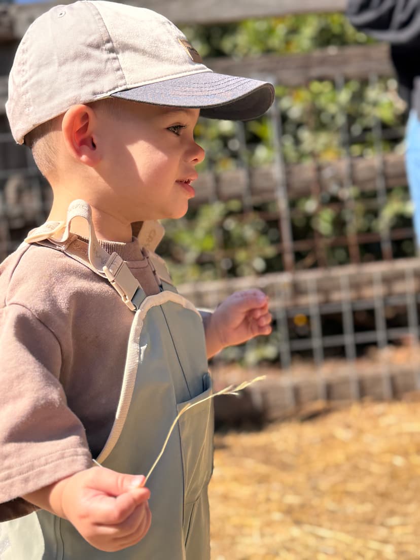 Active Supervision – The What, Why and How event image