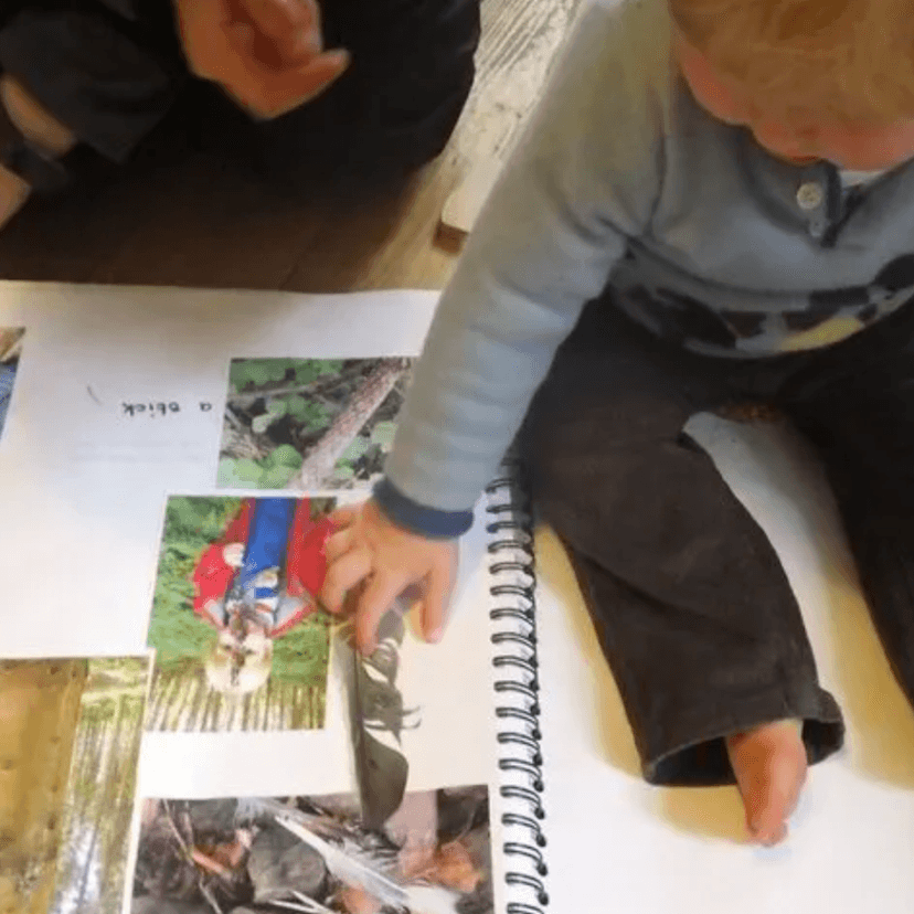 The Floorbook® Approach for Infants and Toddlers with Dr Claire Warden event image