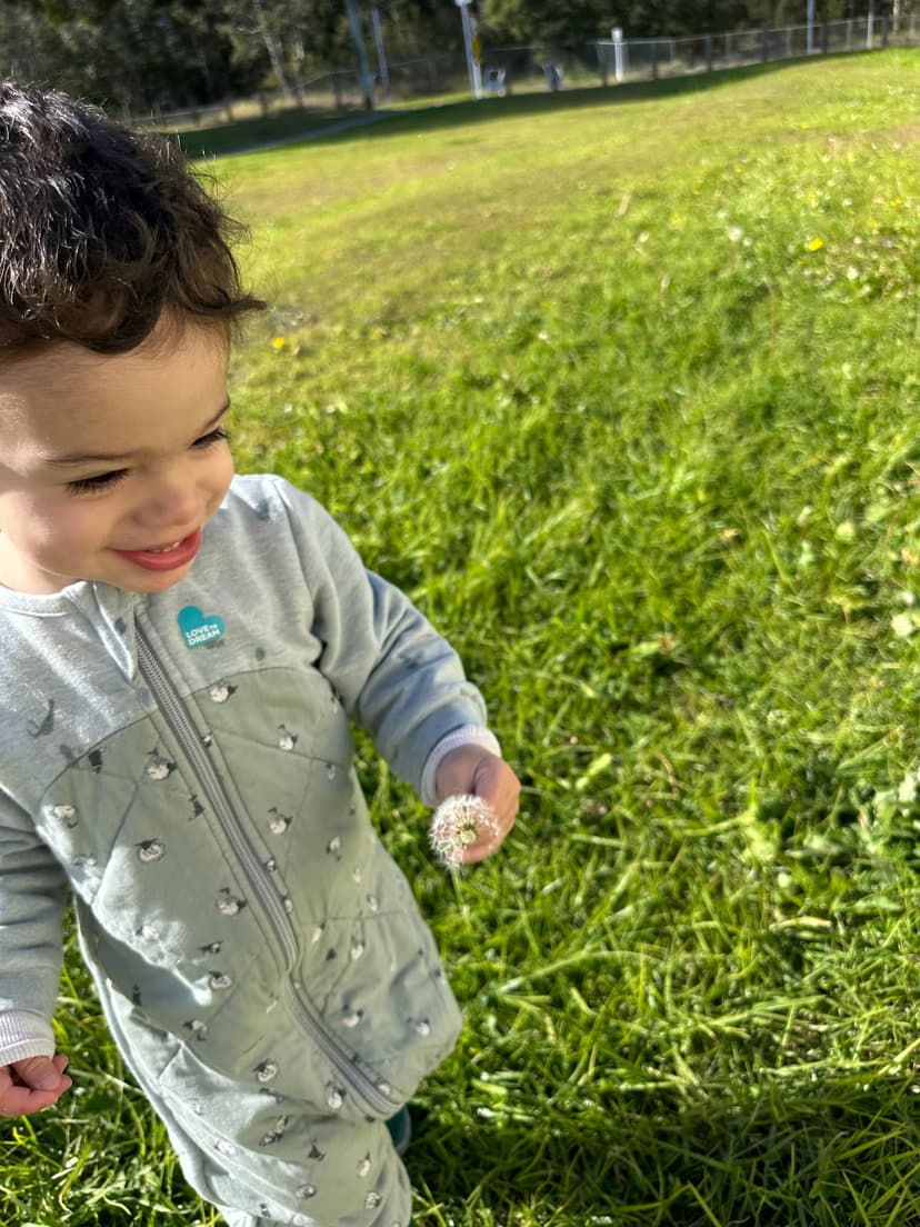 Planning for... 2-3’s event image